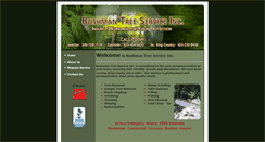 Desktop Screenshot of bushmantreeservice.com